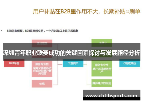 深圳青年职业联赛成功的关键因素探讨与发展路径分析