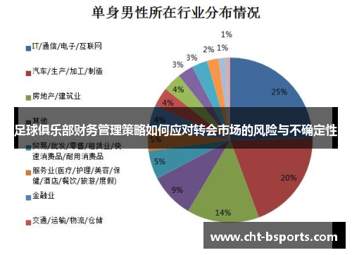 足球俱乐部财务管理策略如何应对转会市场的风险与不确定性